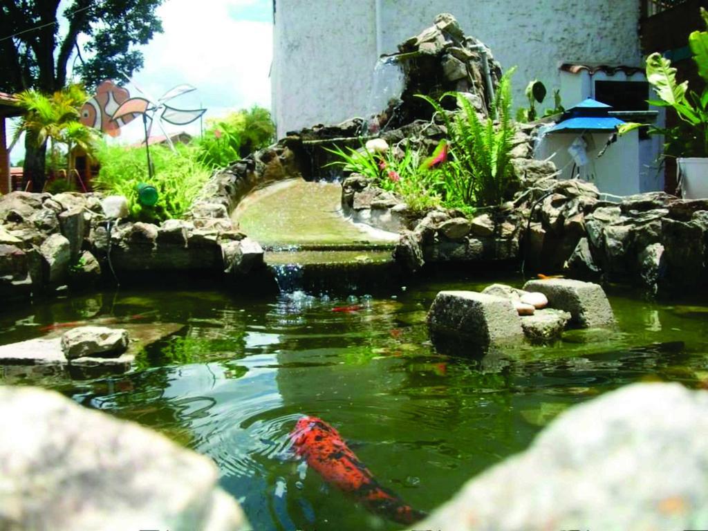 Pousada Nova Estancia Socorro (Sao Paulo) Exterior foto